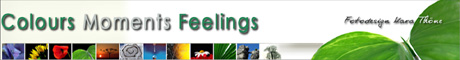 Banner460-202 Banner460-202